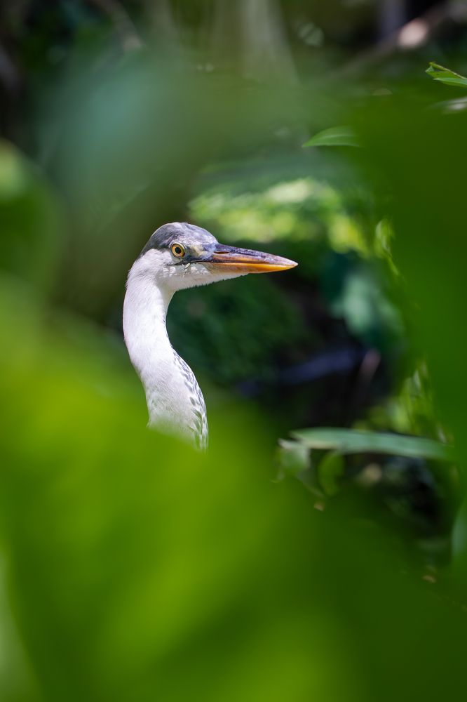 Фотография автора Мария Сурмачева