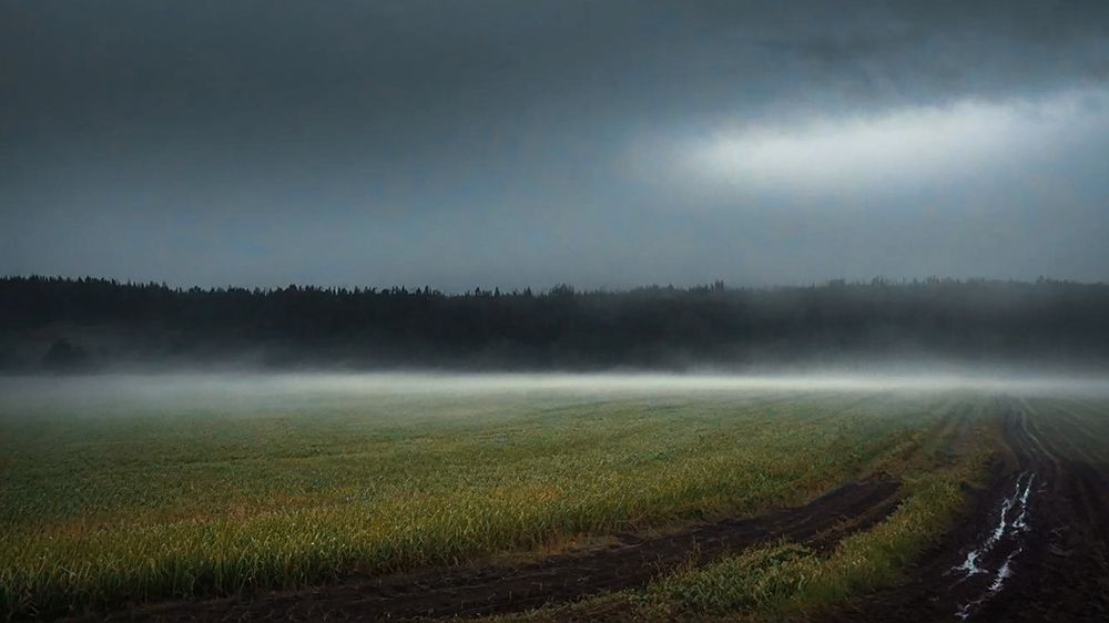 Photograph by Lana Cardi