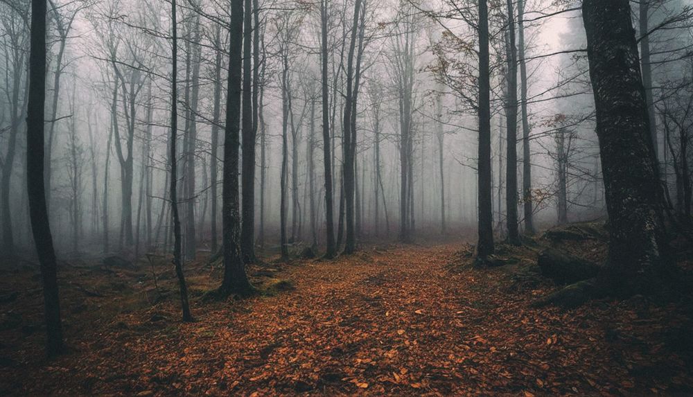 Photograph by Lana Cardi