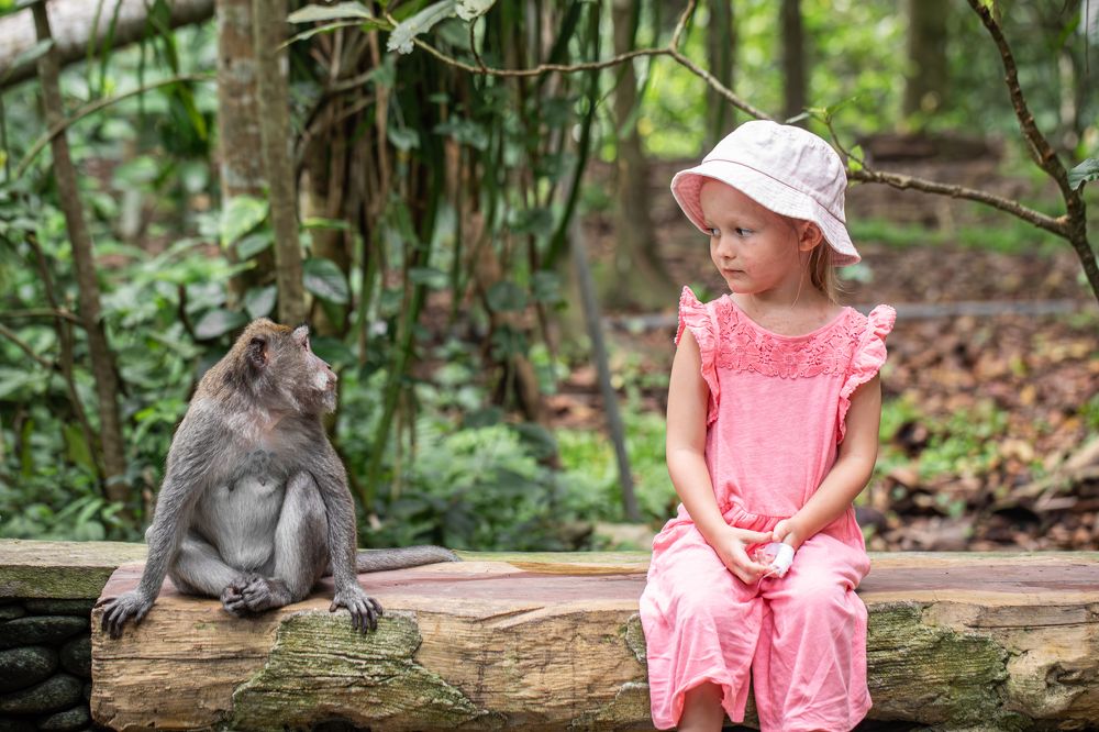Фотография автора Мария Сурмачева