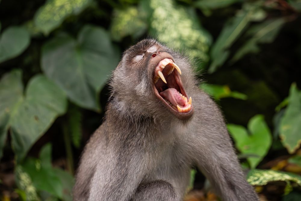 Фотография автора Мария Сурмачева