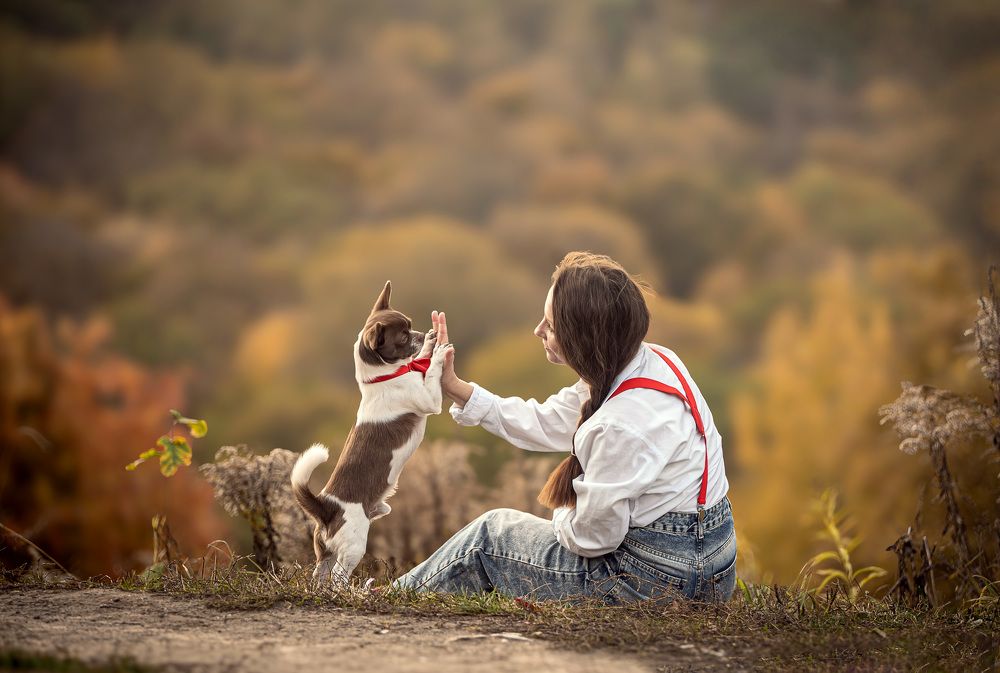 Photograph by Милана Бабченко