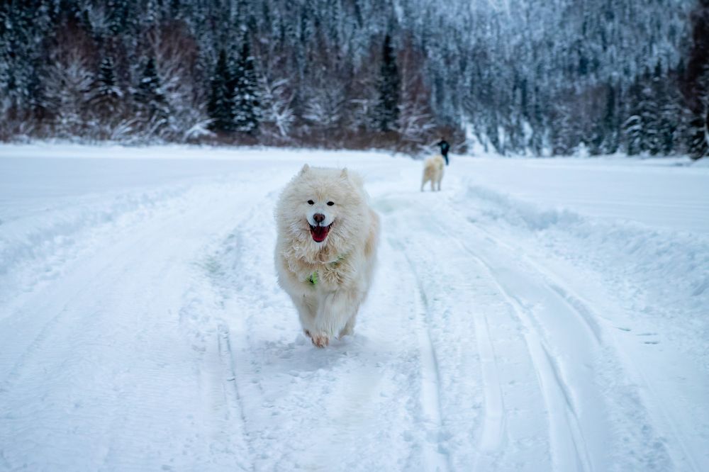 Photograph by Старцев Андрей