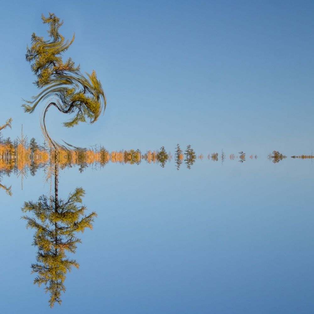 Photograph by Михаил Мархинин