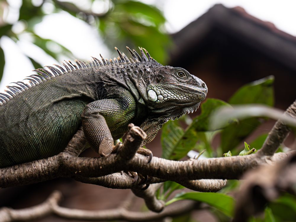 Фотография автора Мария Сурмачева