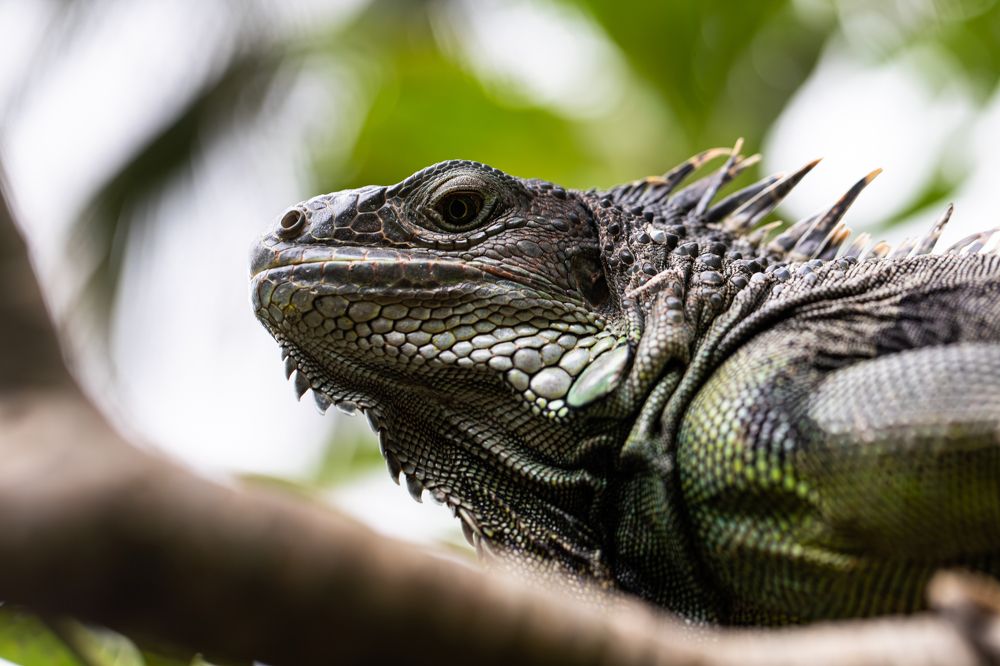 Фотография автора Мария Сурмачева