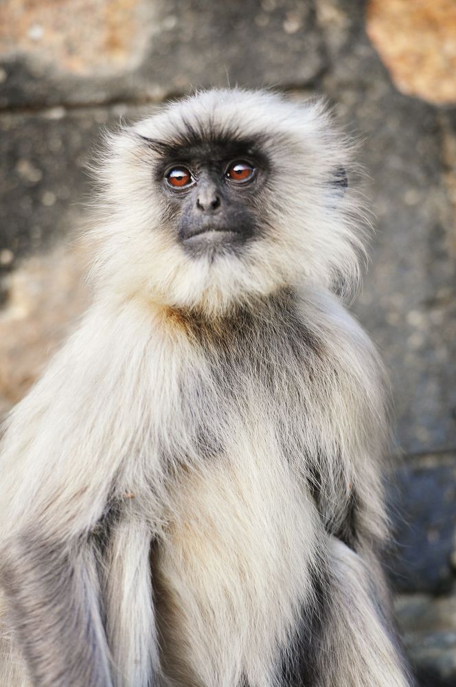 Photograph by Низовцева Елена