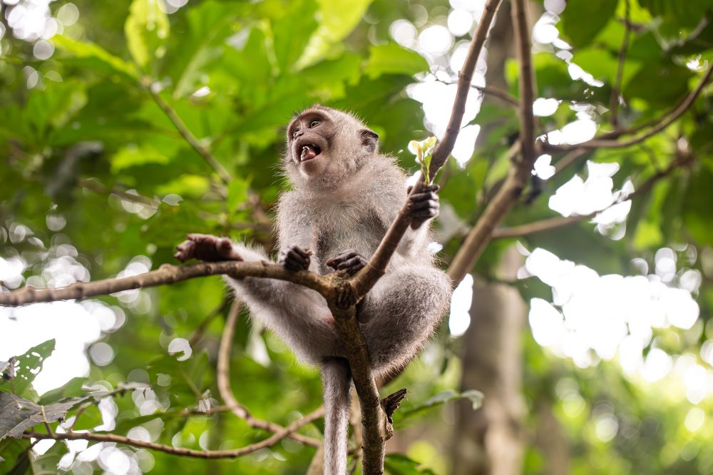 Фотография автора Мария Сурмачева