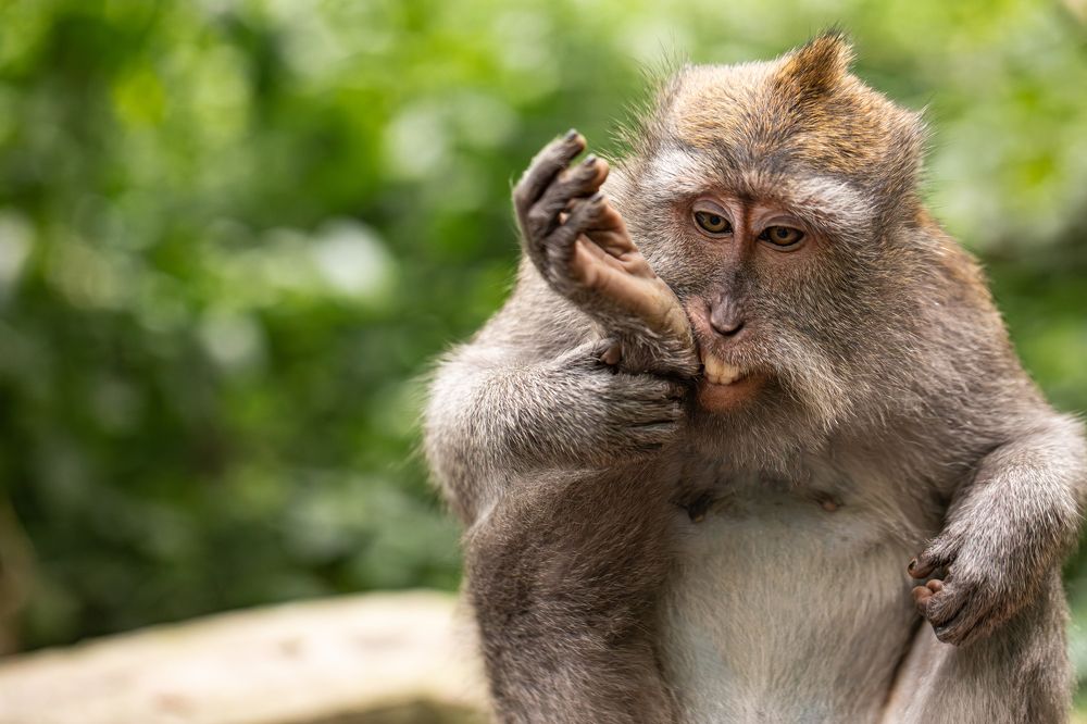 Фотография автора Мария Сурмачева