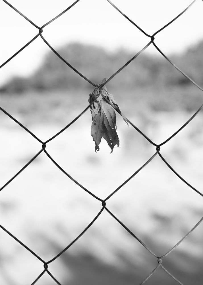 Photograph by mahdi nouri deldar