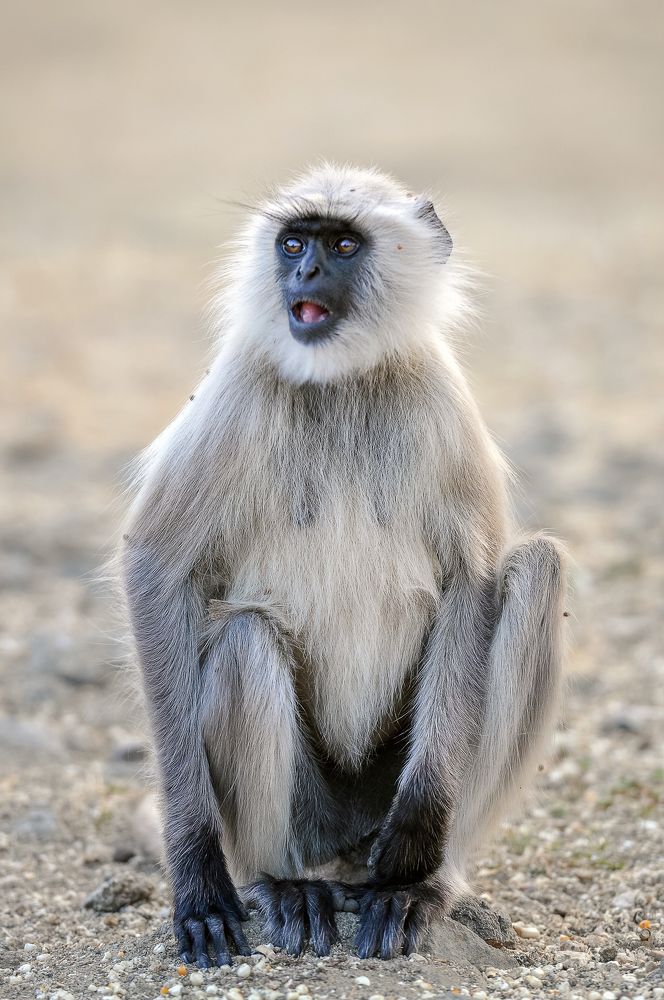 Photograph by Низовцева Елена