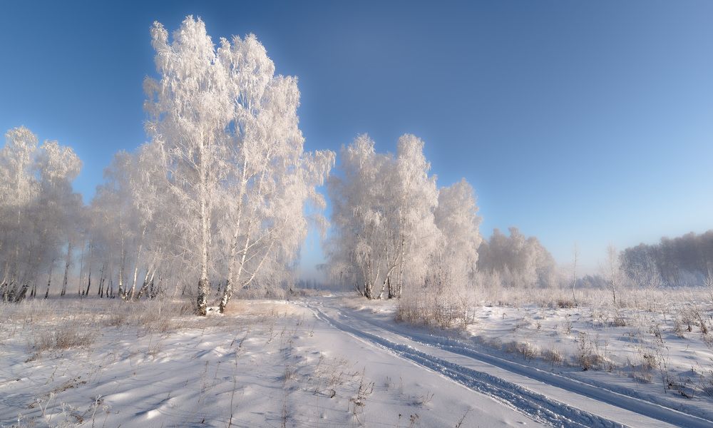 Photograph by Валерий Туманов