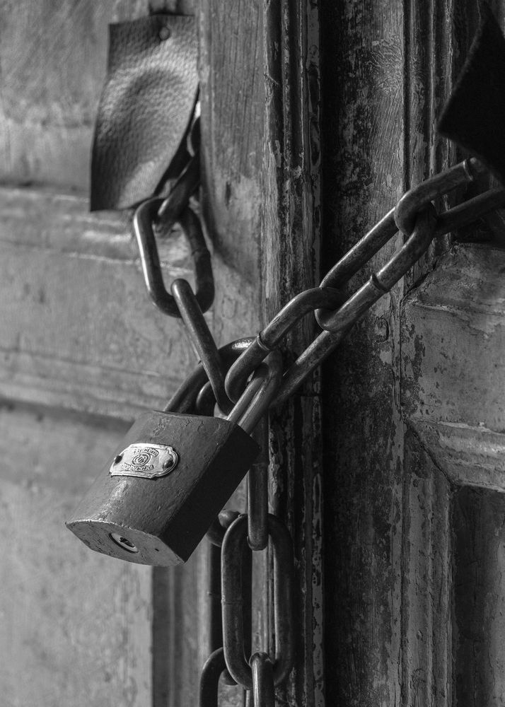 Photograph by mahdi nouri deldar