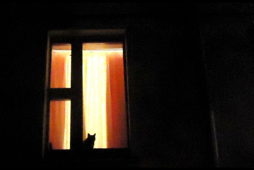 Photograph by Сергей Хвостовец