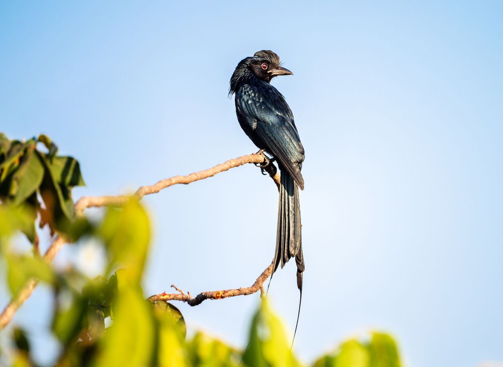 Photograph by Гукасян Геворк