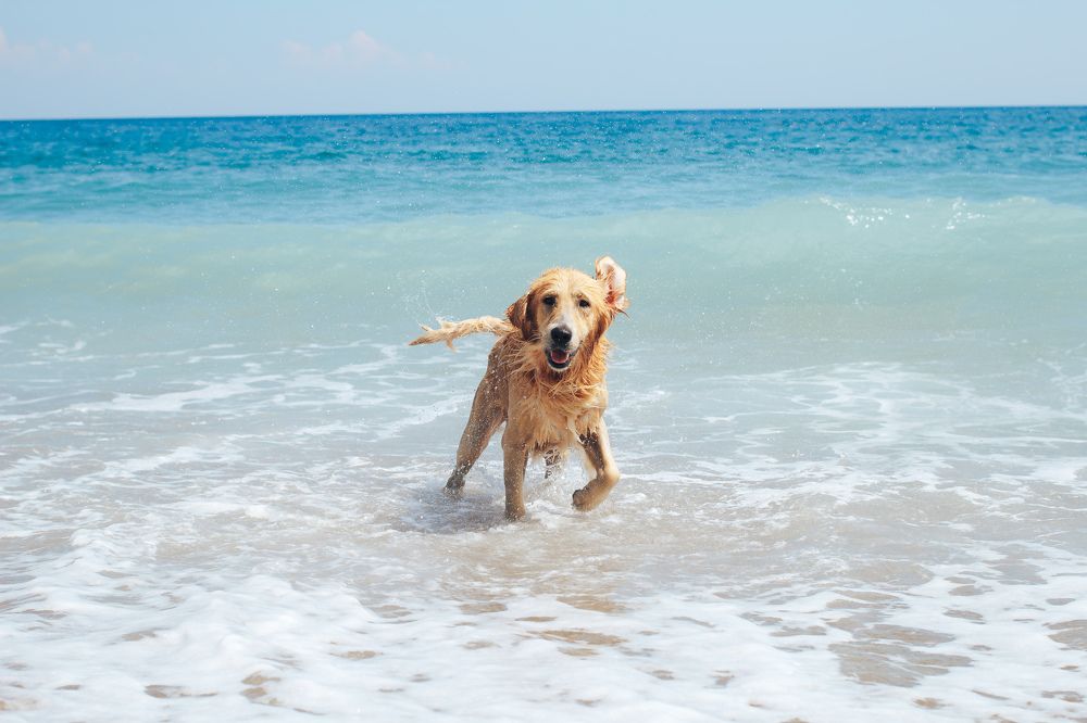 Photograph by Катерина Повидайко