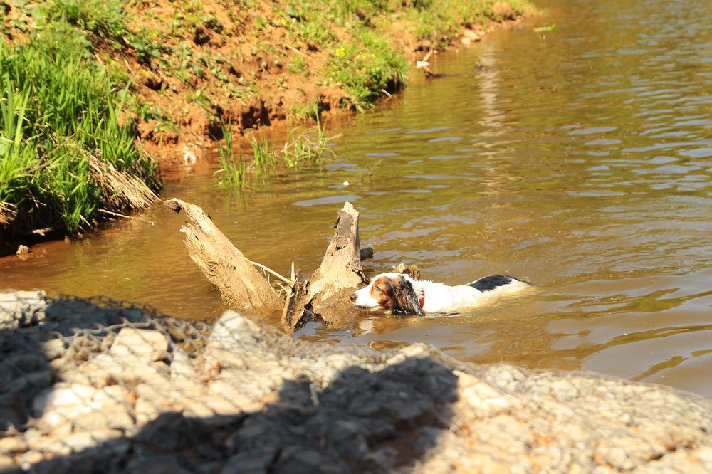 Фотография автора Андрей Рогов
