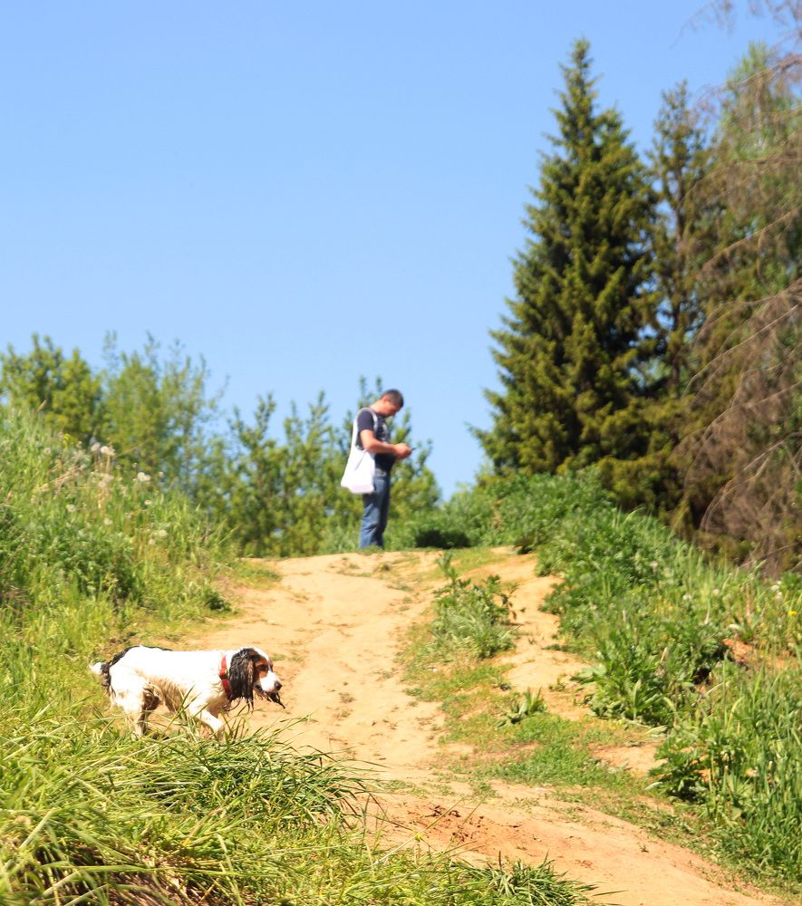 Фотография автора Андрей Рогов