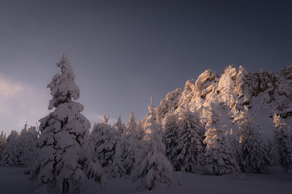 Photograph by Анастасия Сартакова