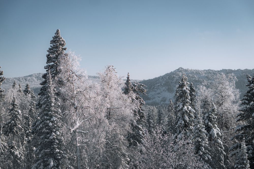 Photograph by Анастасия Сартакова