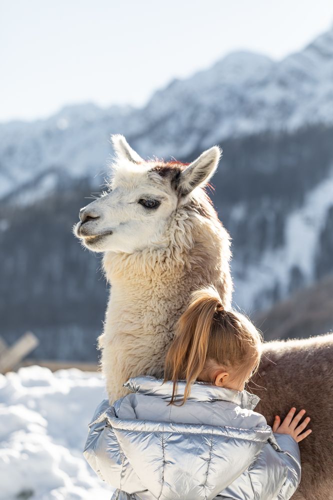 Фотография автора Мария Сурмачева
