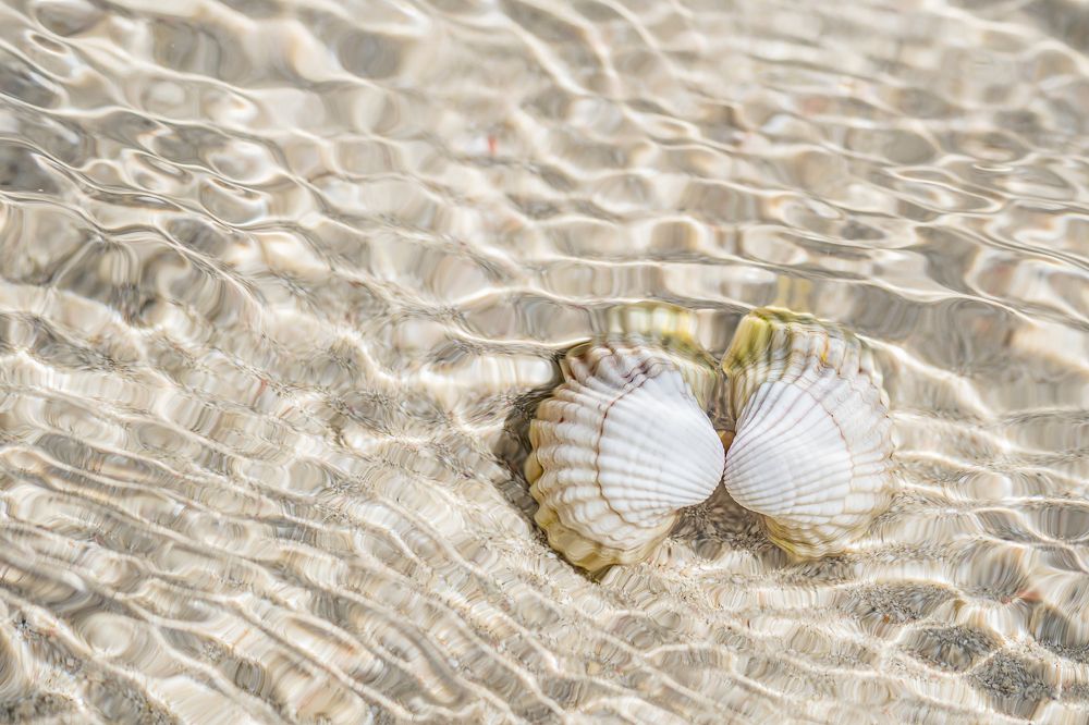 Photograph by Valdis Serzhans