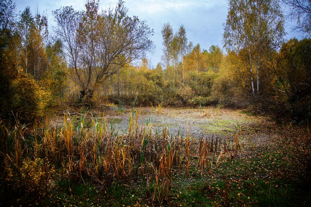 Photograph by Алексей Трифонов