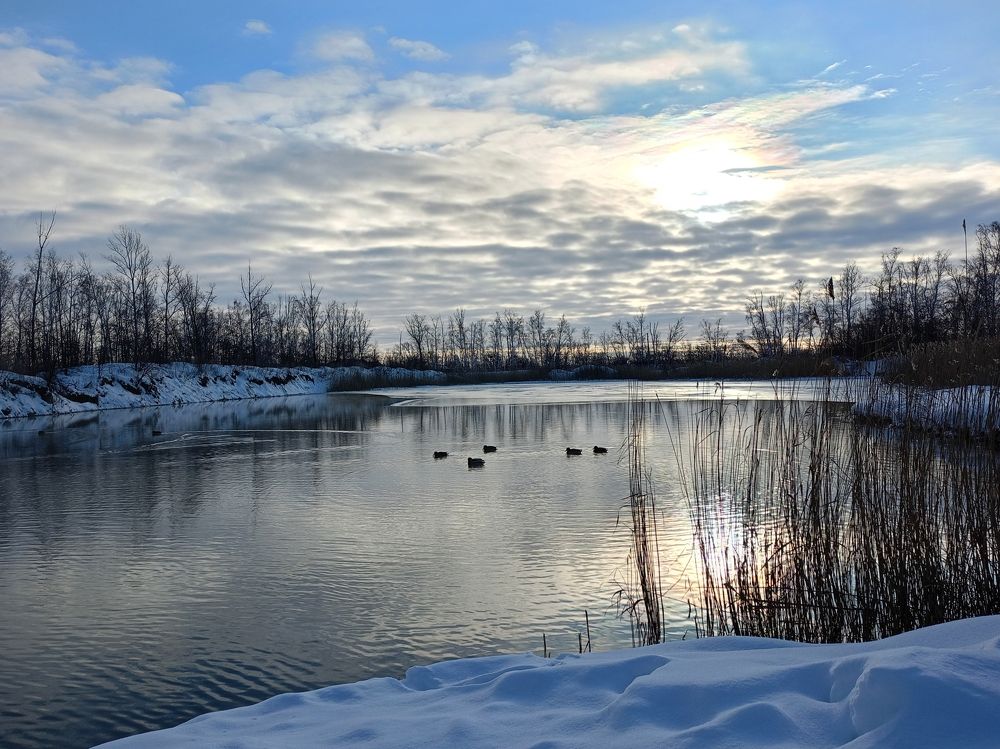 Photograph by Елена Чернякова