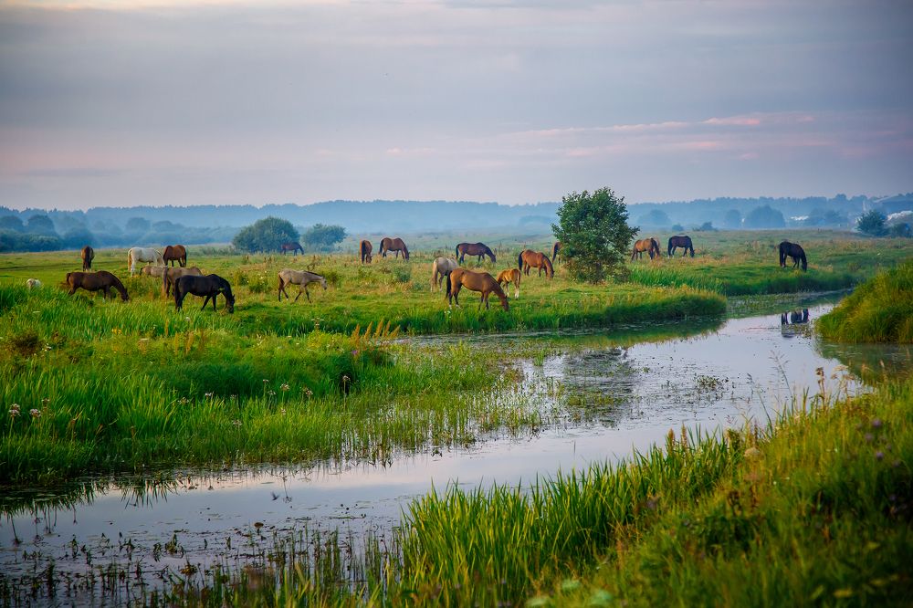 Photograph by Алексей Трифонов