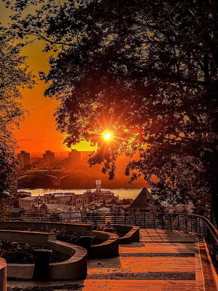 Photograph by Ольга Чибисова