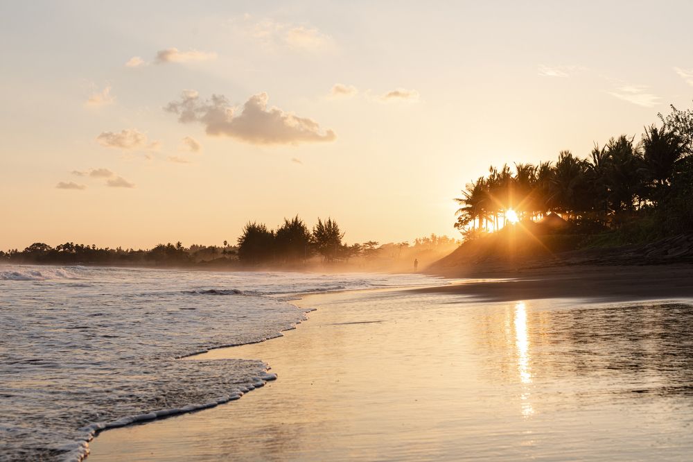 Фотография автора Мария Сурмачева