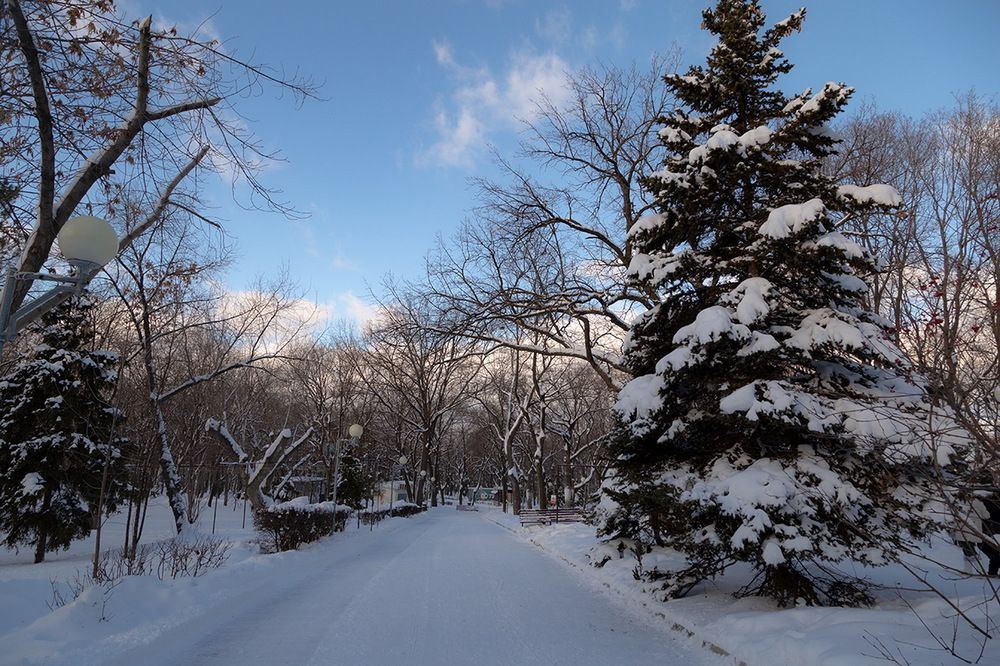 Photograph by Галина Чепиль