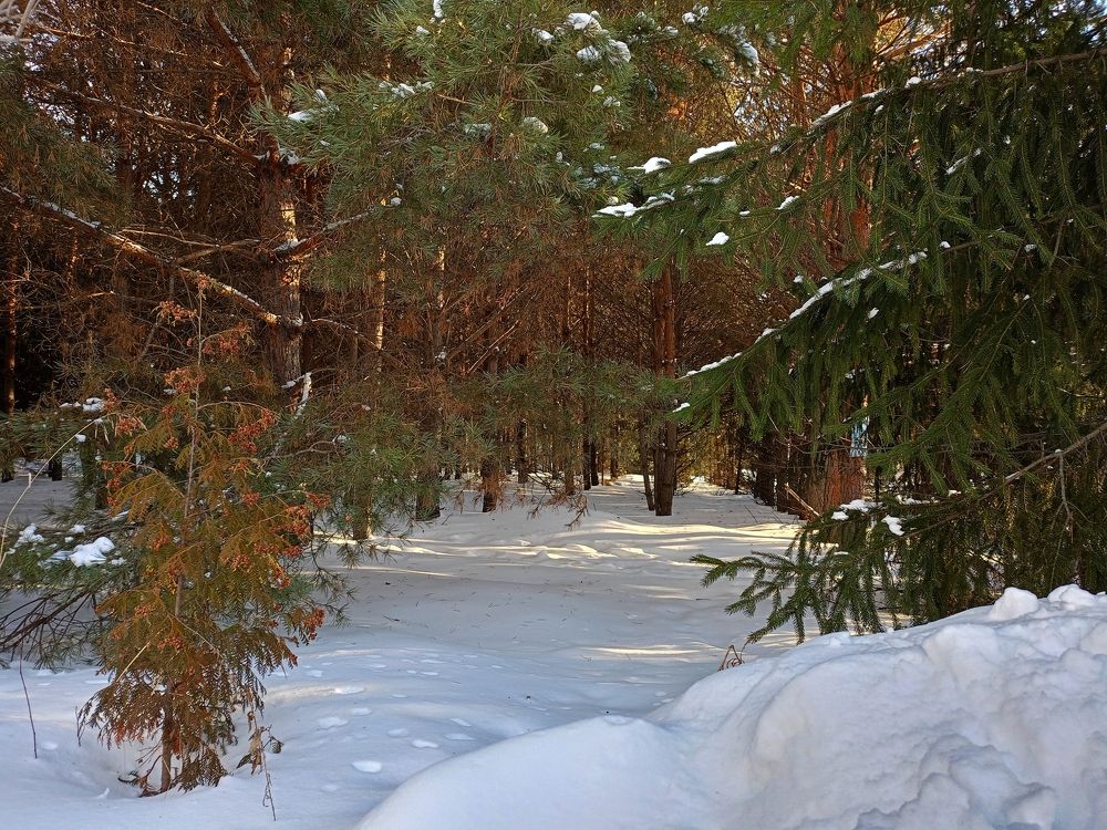 Photograph by Елена Чернякова