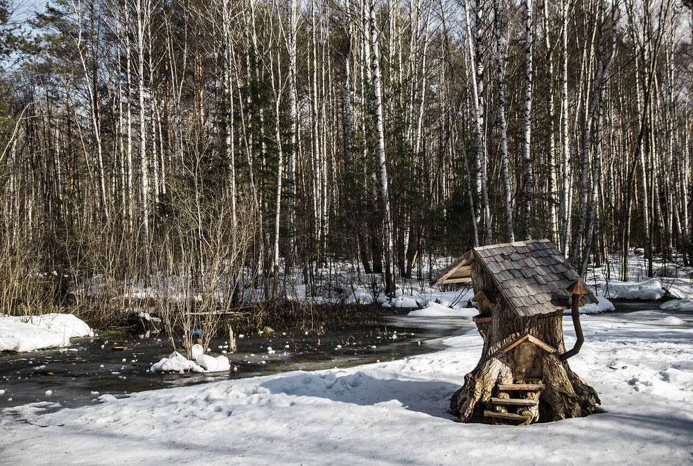 Фотография автора Андрей Рогов