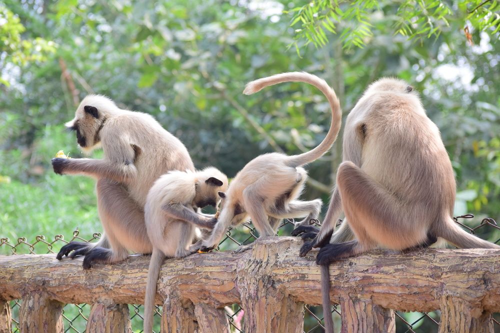 Photograph by shashiranjan prakash