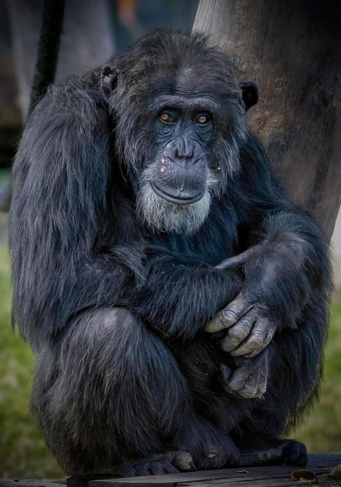 Photograph by Janet Williams