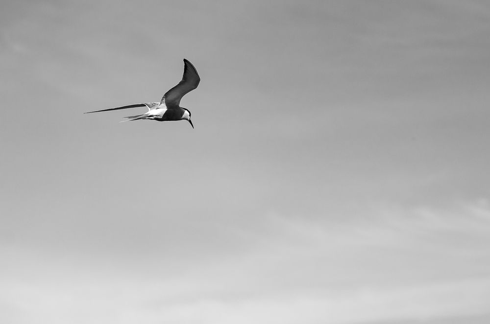 Photograph by Елена Берсенёва