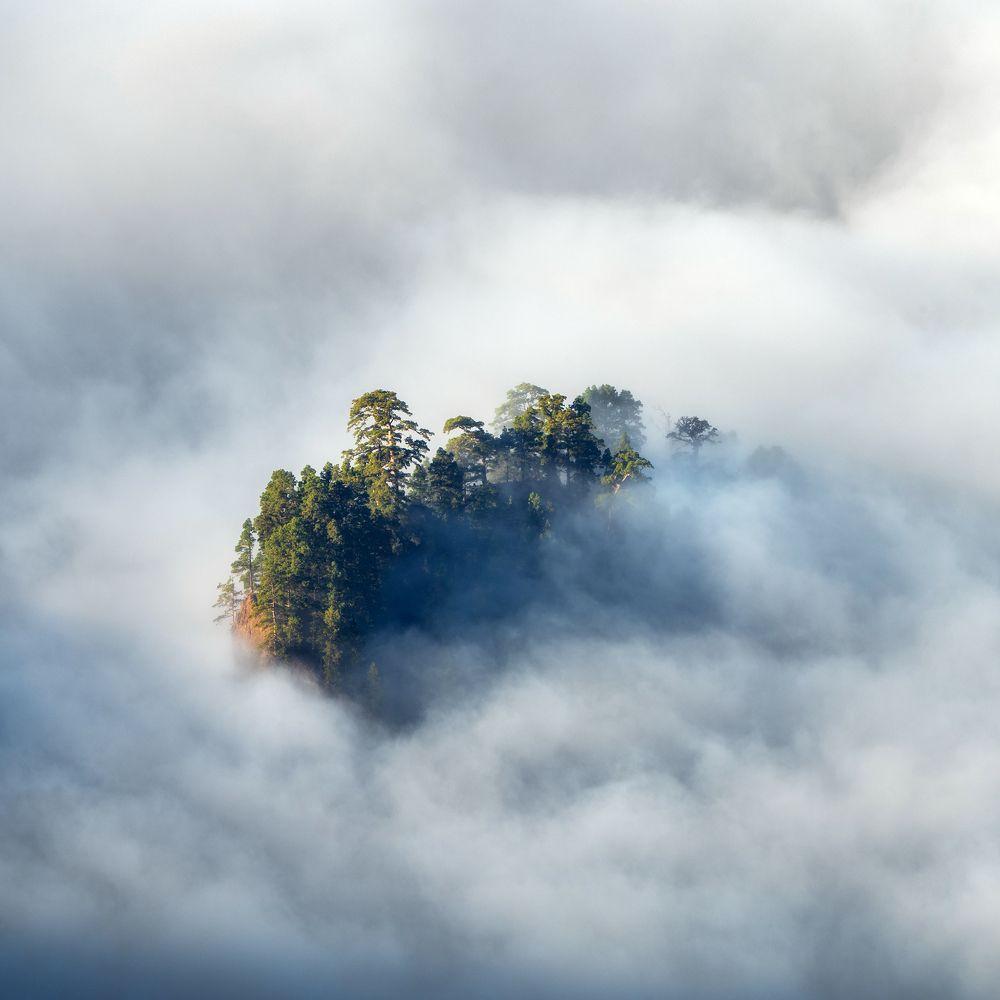 Photograph by Vasylius Vitalis