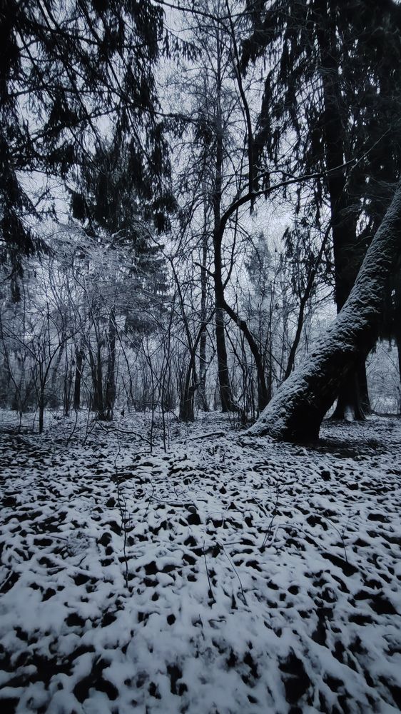 Photograph by Александр