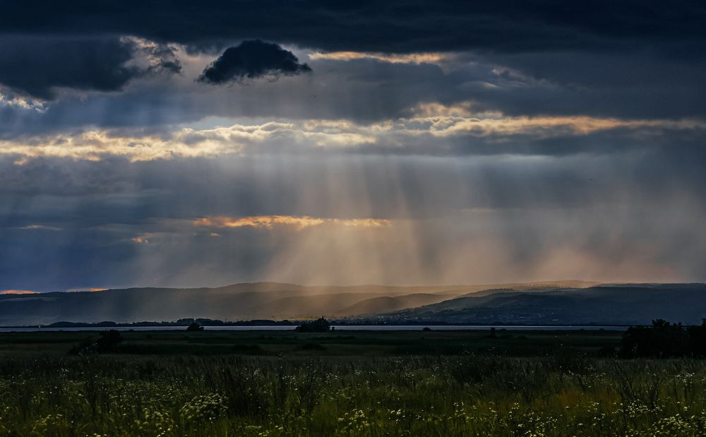 Photograph by Eva Wiedemann