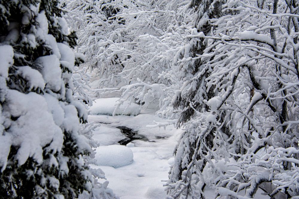 Photograph by Ирина Алексеевна Дудаль-Вологодская