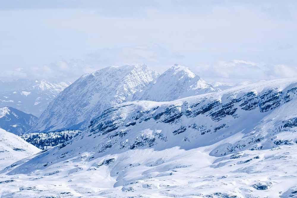 Photograph by Eva Wiedemann