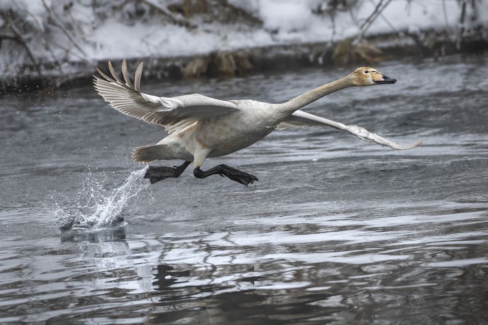 Photograph by Евгений Санин