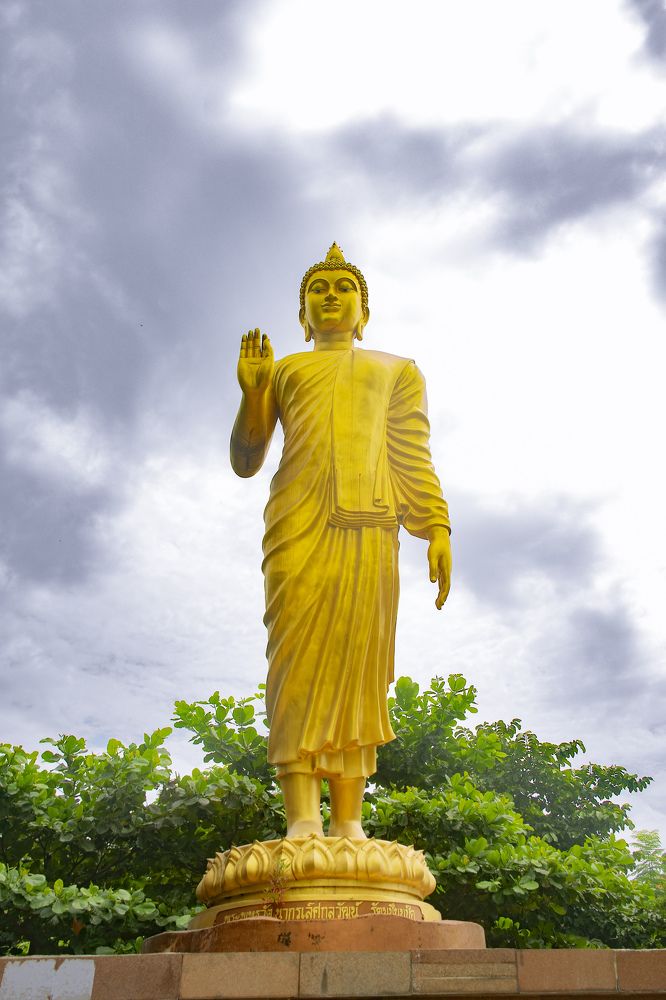 Photograph by shashiranjan prakash