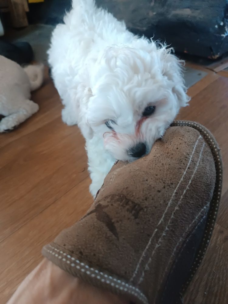 Photograph by Nikita Zorin