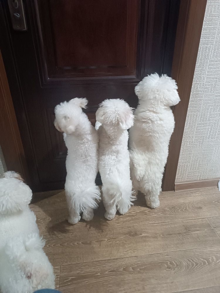 Photograph by Nikita Zorin