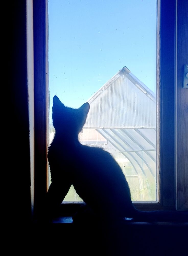 Photograph by Nikita Zorin