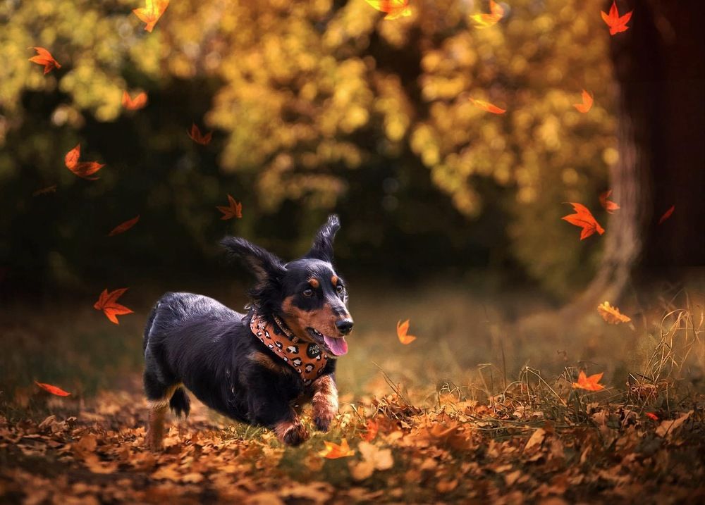 Photograph by Janet Williams