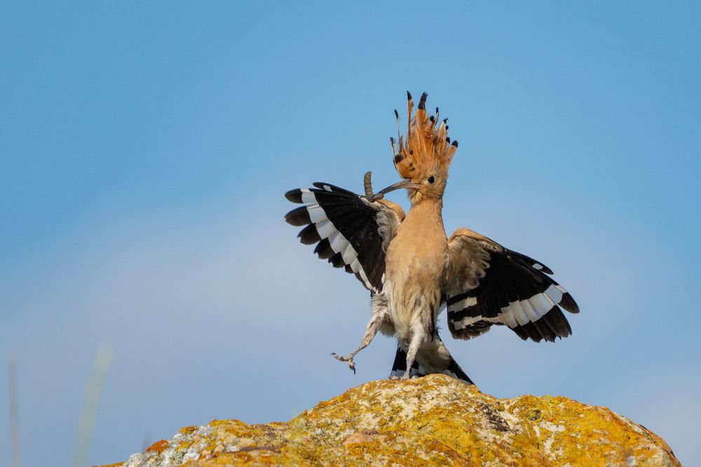 Photograph by Татьяна Жеребцова