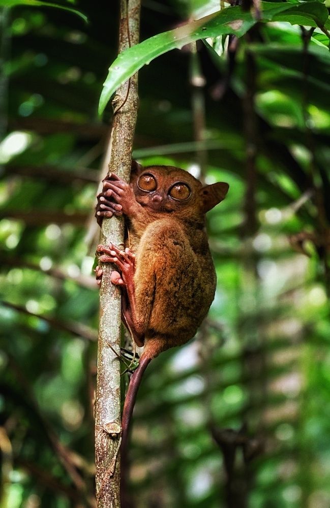 Photograph by Юлия